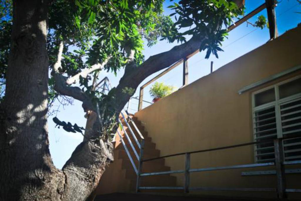 Villa Coral Guesthouse 비에케스 외부 사진